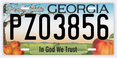 GA license plate PZO3856