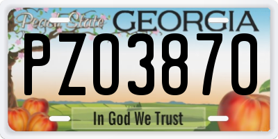 GA license plate PZO3870