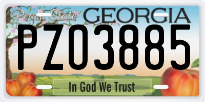 GA license plate PZO3885