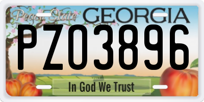 GA license plate PZO3896