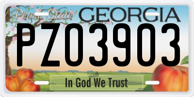 GA license plate PZO3903