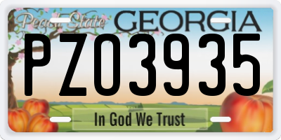 GA license plate PZO3935
