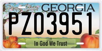 GA license plate PZO3951