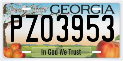 GA license plate PZO3953