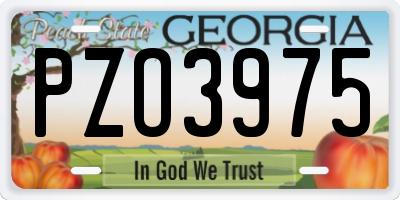 GA license plate PZO3975