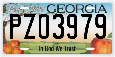 GA license plate PZO3979