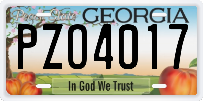 GA license plate PZO4017