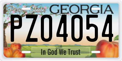 GA license plate PZO4054