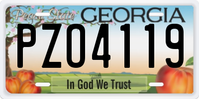 GA license plate PZO4119