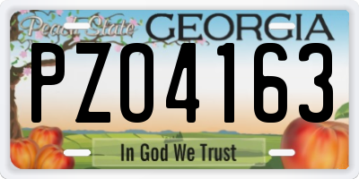 GA license plate PZO4163
