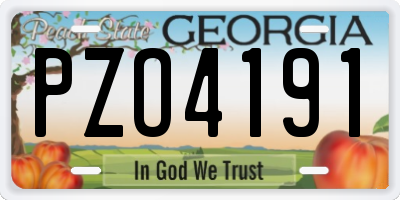 GA license plate PZO4191
