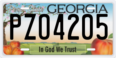 GA license plate PZO4205