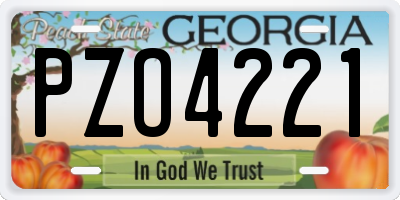 GA license plate PZO4221