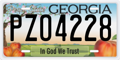 GA license plate PZO4228