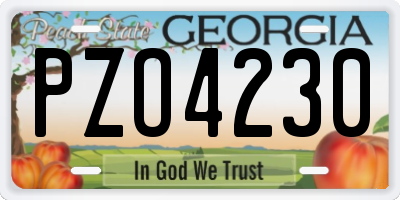 GA license plate PZO4230