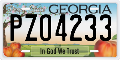GA license plate PZO4233