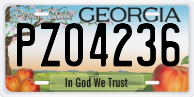 GA license plate PZO4236