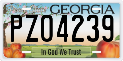 GA license plate PZO4239