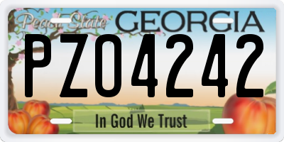 GA license plate PZO4242