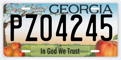 GA license plate PZO4245