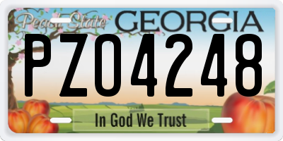 GA license plate PZO4248