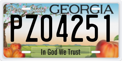 GA license plate PZO4251