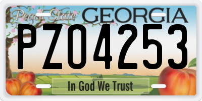 GA license plate PZO4253