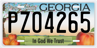 GA license plate PZO4265