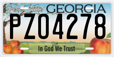GA license plate PZO4278