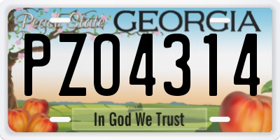 GA license plate PZO4314