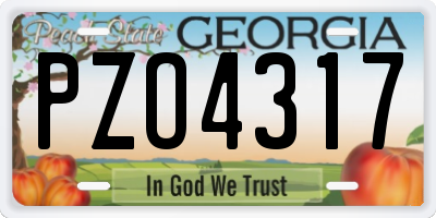 GA license plate PZO4317
