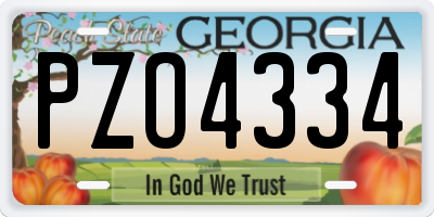 GA license plate PZO4334