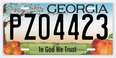 GA license plate PZO4423