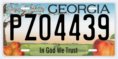GA license plate PZO4439