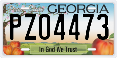 GA license plate PZO4473