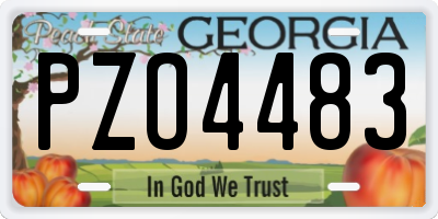 GA license plate PZO4483