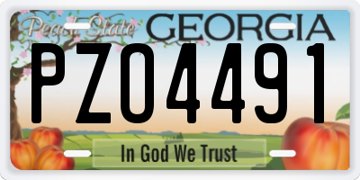 GA license plate PZO4491
