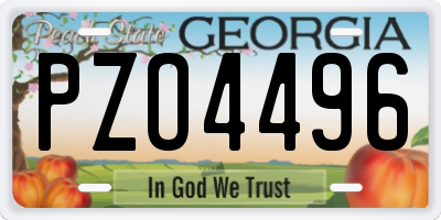 GA license plate PZO4496