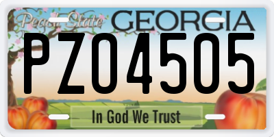 GA license plate PZO4505