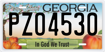 GA license plate PZO4530