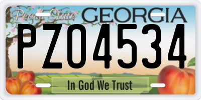 GA license plate PZO4534