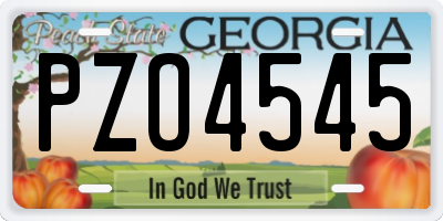 GA license plate PZO4545