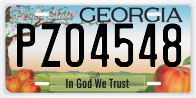 GA license plate PZO4548