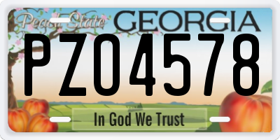 GA license plate PZO4578