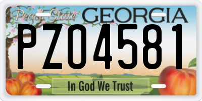 GA license plate PZO4581
