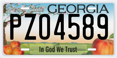 GA license plate PZO4589