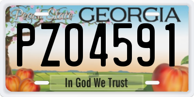 GA license plate PZO4591