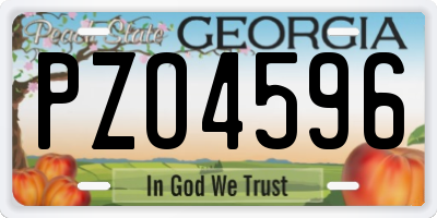 GA license plate PZO4596