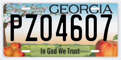 GA license plate PZO4607