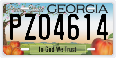 GA license plate PZO4614